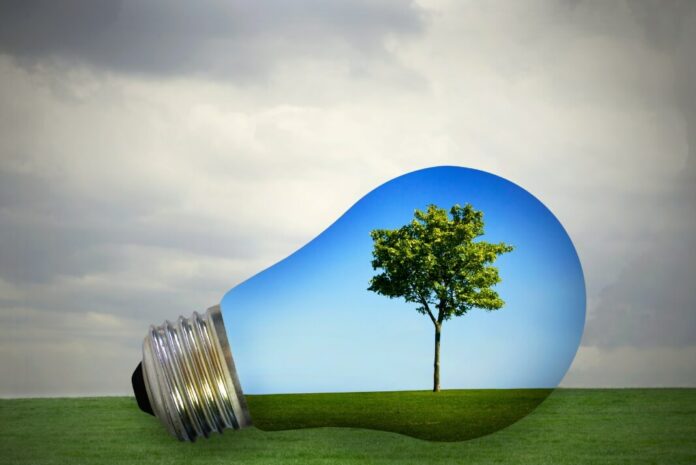 B Corp Certification What You Need to Know as a Business Owner - Small Business Insights - Got Capital