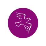 No Personal Guarantee or Collateral Needed - Got Capital - Small Business Funding - Royalty Based Investments - Merchant Capital Advance - Trusted UK Funding Provider of Fast Working Capital