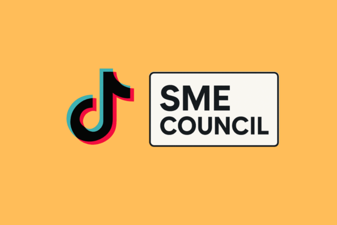 TikTok SME Council for Small Businesses and Digital Growth - Small Business Insights - Got Capital Business Funding